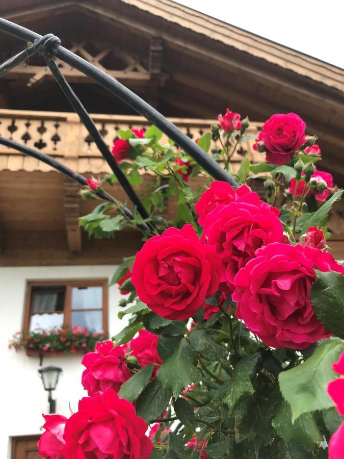 Landhaus Manuela & Haus Michael Лойташ Екстер'єр фото